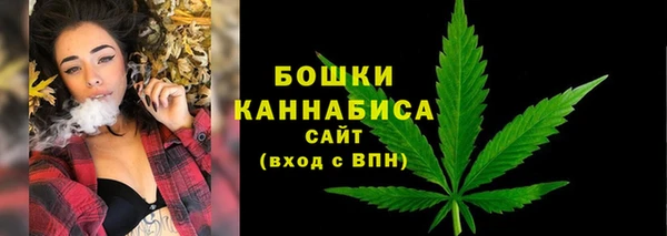 винт Богданович